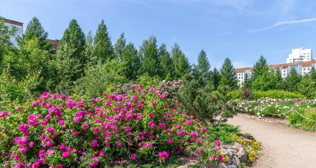 квартира г Челябинск ул Братьев Кашириных 111б ACADEM Riverside фото 18