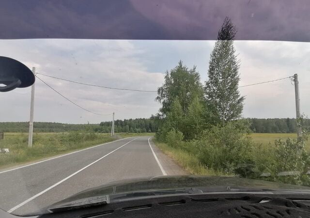 пос. Дачный фото