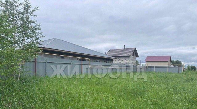 снт Смородинка муниципальное образование, Краснообск фото