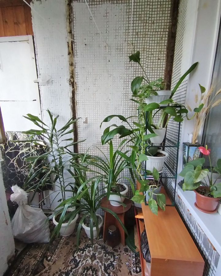 квартира г Тольятти р-н Автозаводский 19-й квартал б-р Татищева 10 фото 4