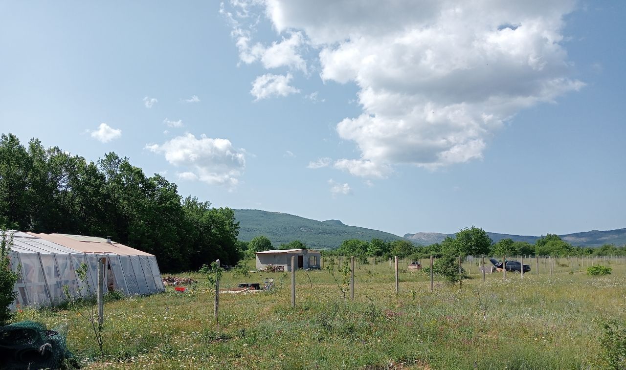 земля г Ялта г Алупка Орлиновский муниципальный округ, КСП Красный Октябрь, 309, Се<текст-удален>оль, Балаклавский р-н фото 1