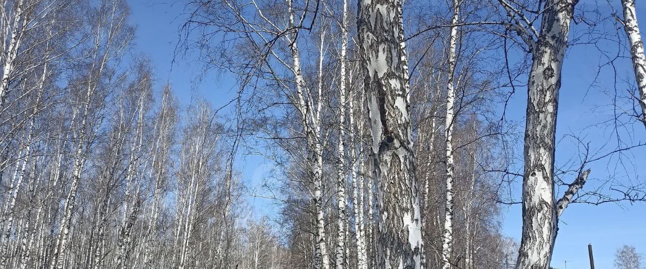 дом г Тюмень р-н Центральный Яблонька садовое товарищество, 247 фото 6