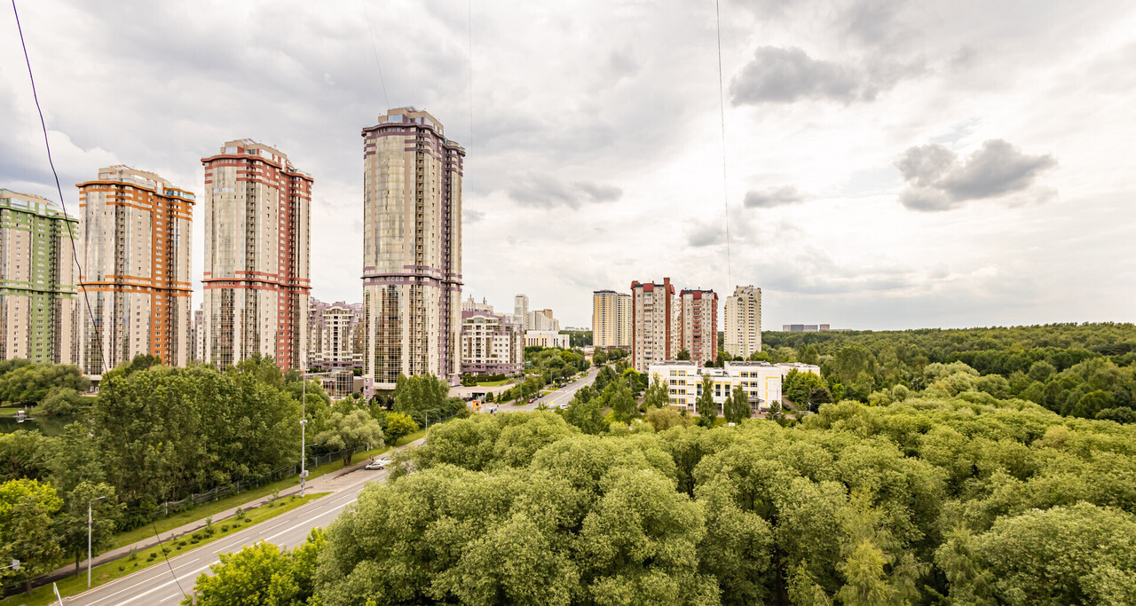 квартира г Москва метро Тропарёво ул Академика Анохина 46/2 фото 10