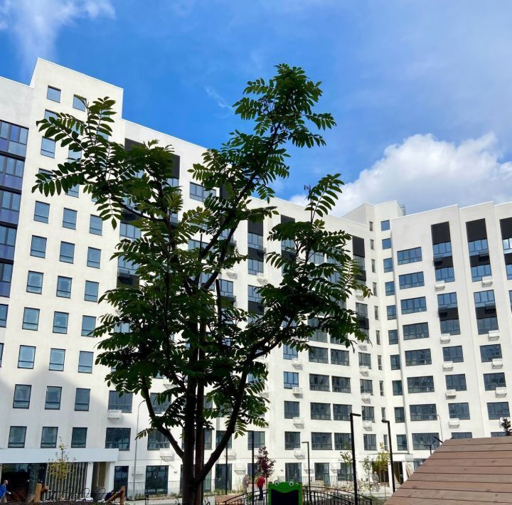квартира г Воронеж р-н Железнодорожный б-р Содружества 1 фото 7