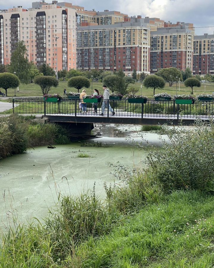квартира р-н Всеволожский г Кудрово ЖК Кудровский Парк 1/2 Улица Дыбенко, Заневское городское поселение фото 9