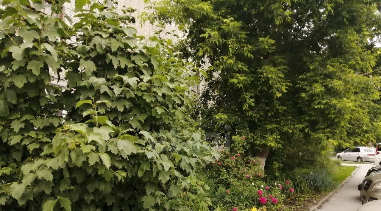 квартира г Бердск ул Рогачева 5 фото 21