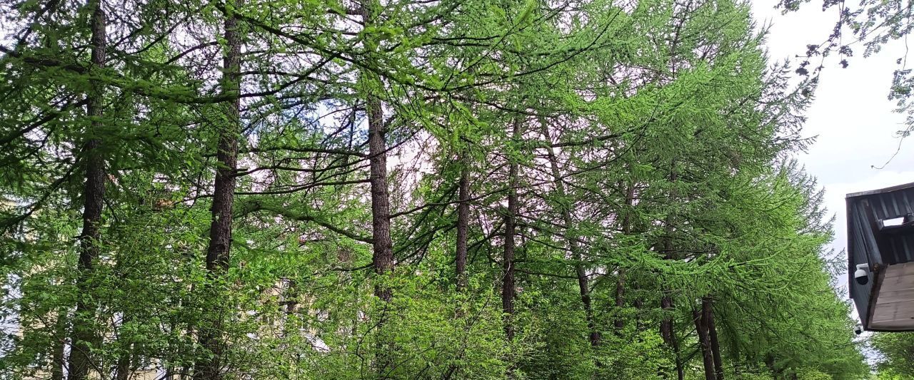 квартира г Москва метро Нижегородская пр-кт Рязанский 2/2к 1 фото 5