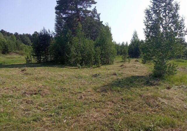 с. Половинка Базанаково фото