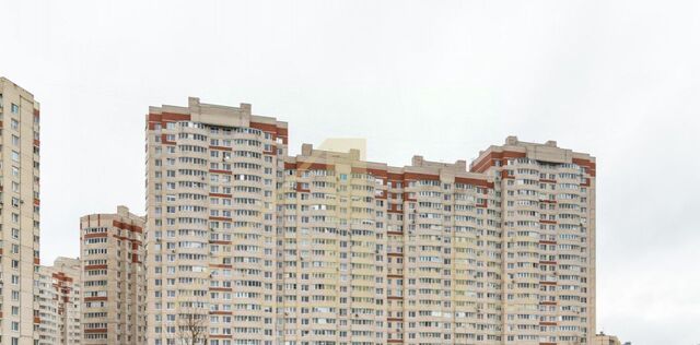 метро Ладожская ул Латышских Стрелков 17к/1 фото