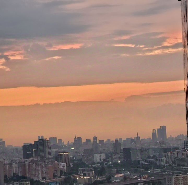 квартира г Москва метро Нижегородская ул Новохохловская 15к/3 фото 25