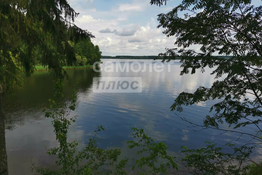 земля г Воскресенск снт Дачное некоммерческое товарищество Лукоморье, Можайский муниципальный округ фото 1