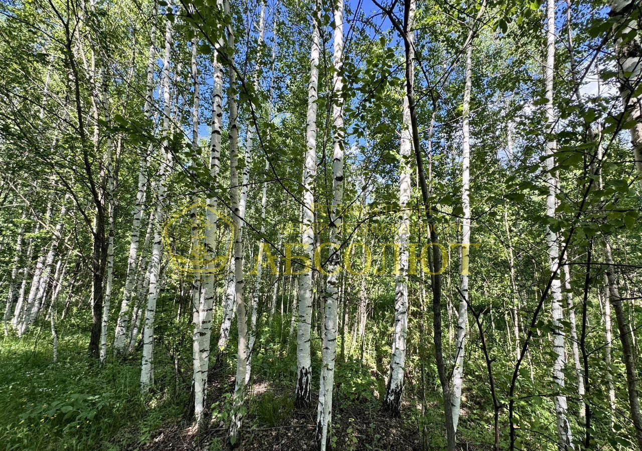 земля г Ревда снт Надежда 1 фото 3