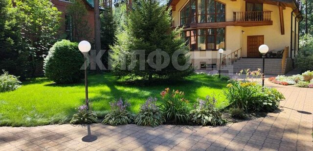 р-н Заельцовский Заельцовская фото