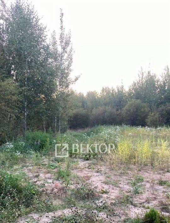 земля г Иваново р-н Октябрьский пр-д 3-й Парковский фото 3