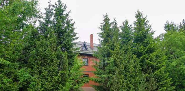 п Дорожный ул Брянская 36 фото