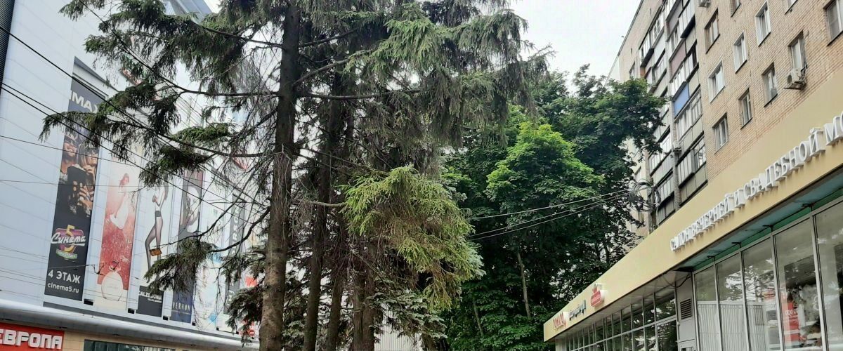 квартира г Курск р-н Центральный ул Радищева 86 фото 11