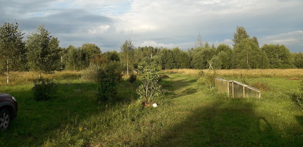 земля г Псков пл Ленина фото 1