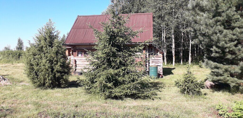 земля г Псков пл Ленина фото 3