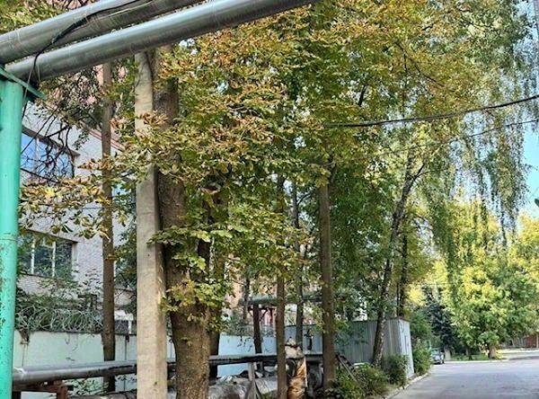 производственные, складские г Серпухов ул Советская 31/21 фото 3