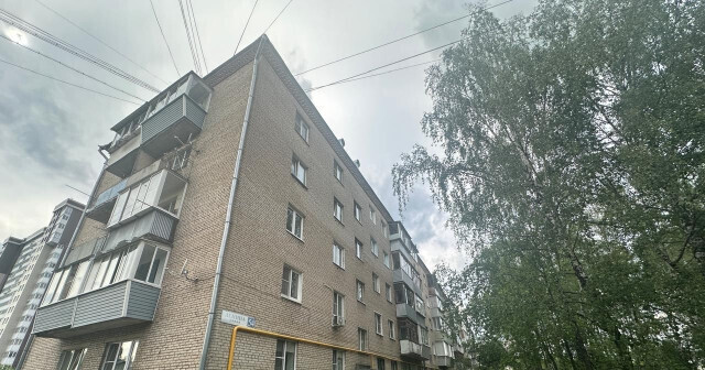 квартира городской округ Богородский г Старая Купавна ул Ленина 54 фото 20