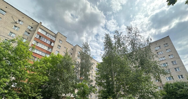 квартира г Электросталь Восточный ул Восточная 4б фото 18