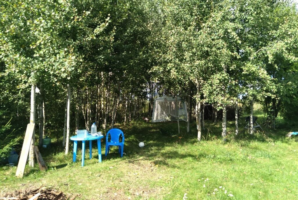 земля г Псков пл Ленина фото 12