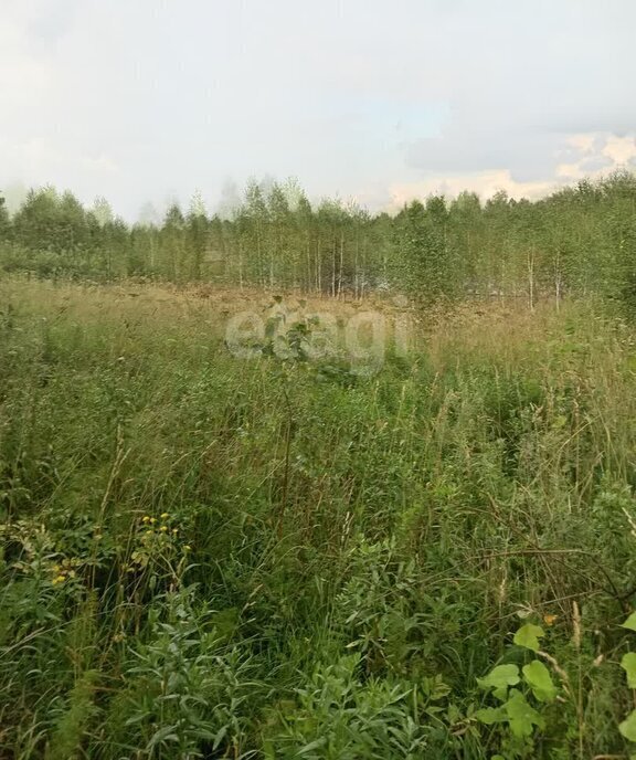земля г Томск п Родионово ул Российская фото 1