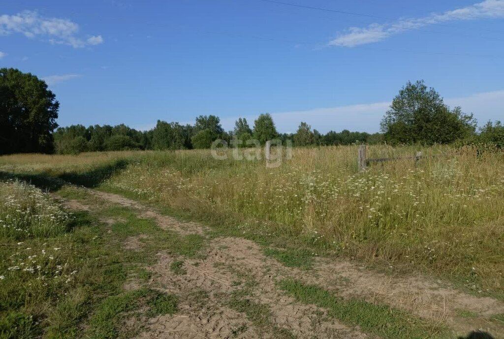 земля р-н Асиновский г Асино ул Советская фото 4