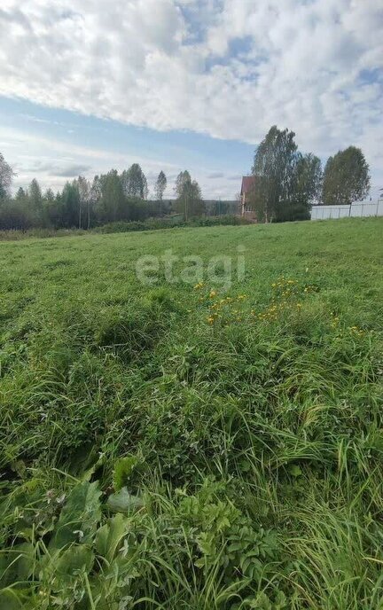 земля г Томск п Росинка пер Рождественский фото 2