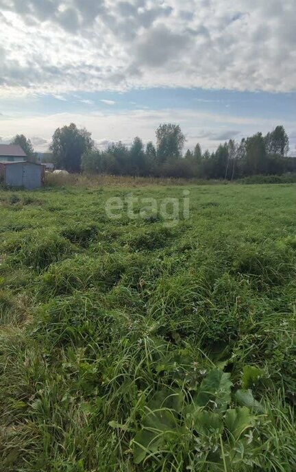 земля г Томск п Росинка пер Рождественский фото 3