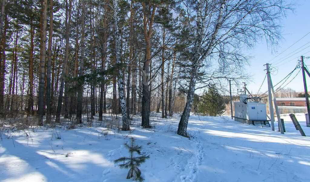 земля г Томск д Лоскутово ул Октябрьская фото 11