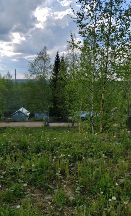 земля г Ухта садово-огородническое товарищество Геолог-69 фото 6