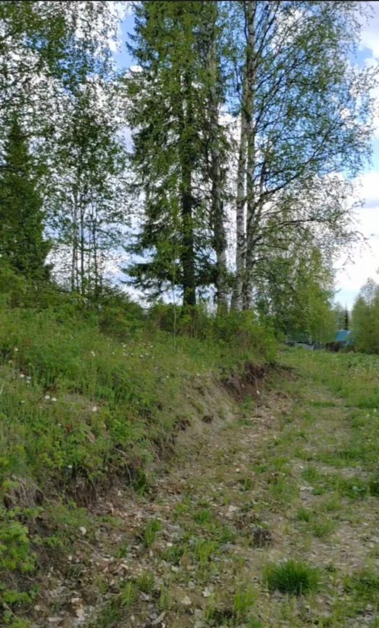 земля г Ухта садово-огородническое товарищество Геолог-69 фото 9