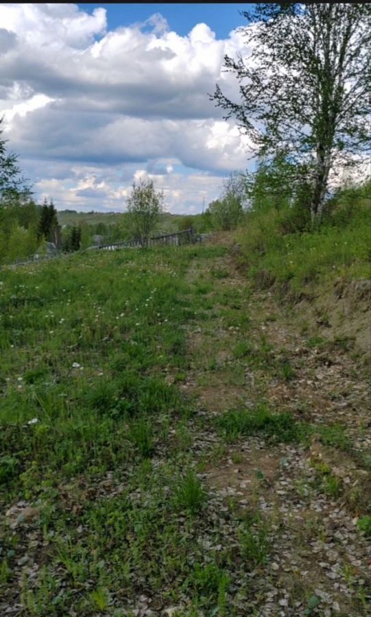земля г Ухта садово-огородническое товарищество Геолог-69 фото 8