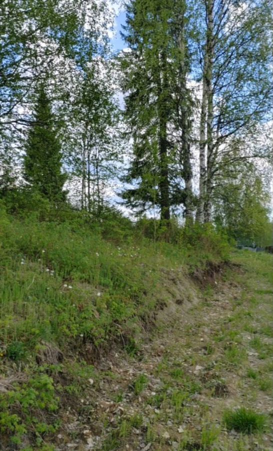 земля г Ухта садово-огородническое товарищество Геолог-69 фото 10