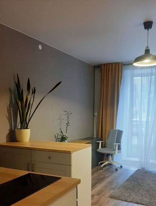 квартира г Новосибирск Золотая Нива ул Заслонова 13/3 фото 8