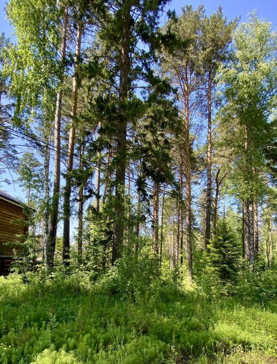 земля г Дивногорск с Овсянка фото 4