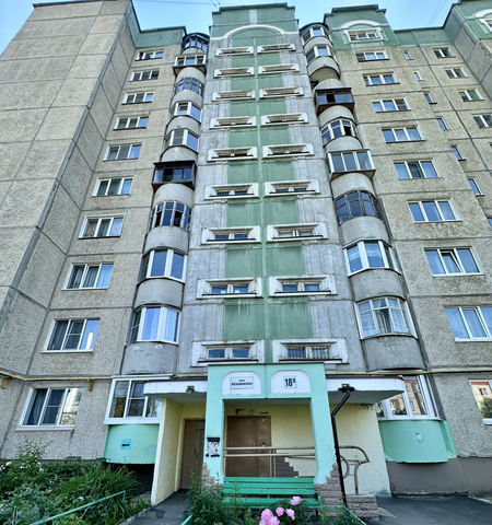 Красное Село ул Безыменского 18а фото