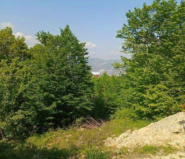 земля г Новороссийск р-н Центральный пер Магаданский 18 фото 6