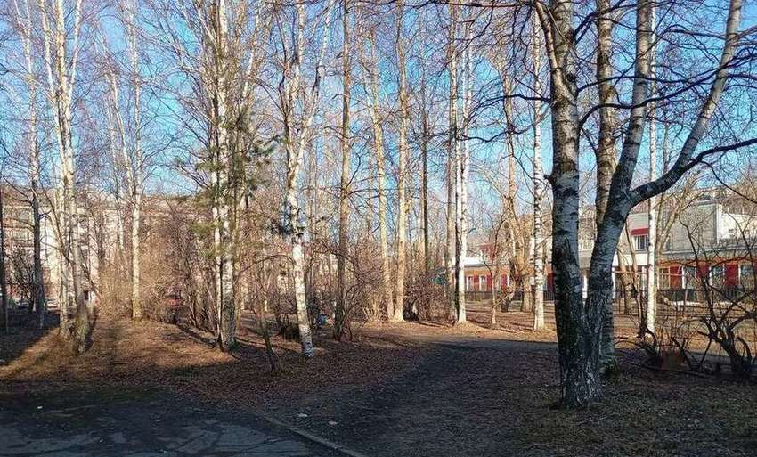 квартира г Северодвинск ул Ломоносова 69а фото 17