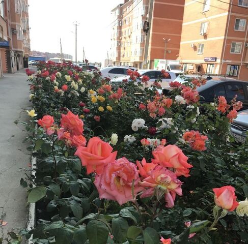 ул Космическая 88/2к 6 фото