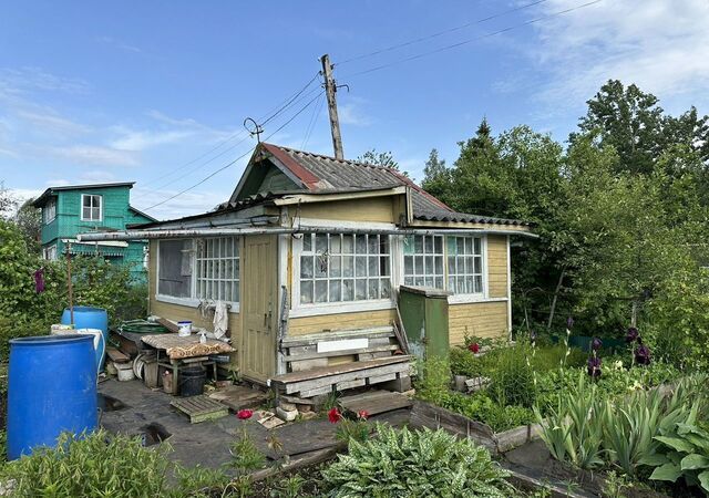 тер сдт Огнеупорщик Боровичское городское поселение фото
