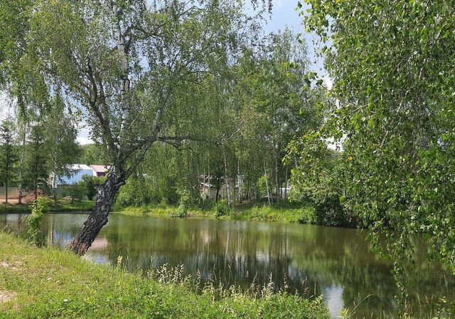 82 км, Кашира, г. о. Коломна, Каширское шоссе, СНТ Берёзка-1 фото