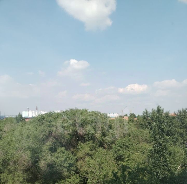 квартира г Омск р-н Кировский ул 2-я Любинская 11а фото 10