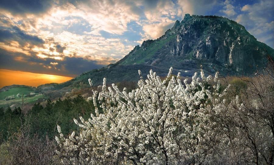 земля г Алушта п Лаванда мкр-н Кольцевой фото 10