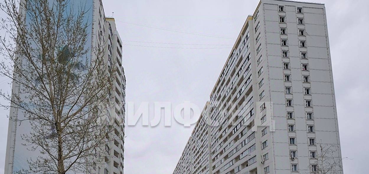 квартира г Новосибирск ул Виктора Уса 4 Площадь Маркса фото 17