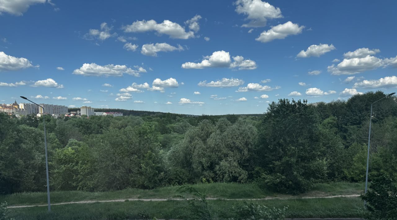 квартира г Нововоронеж ул Космонавтов 45 фото 16