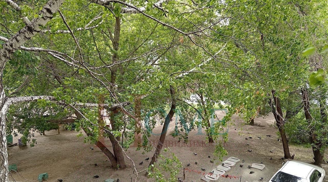 квартира г Новосибирск Золотая Нива ул Бориса Богаткова 228 фото 11