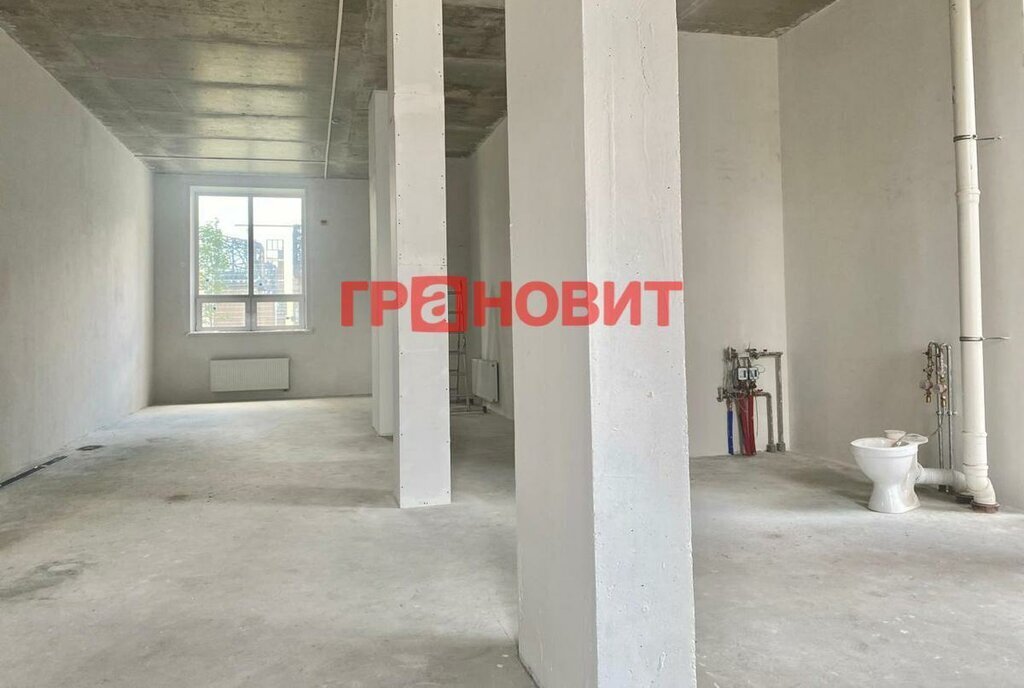 свободного назначения г Новосибирск Заельцовская пр-кт Красный 167/3 фото 5