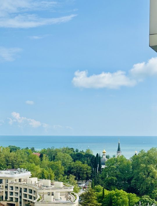 квартира г Сочи р-н Центральный пер Центральный ул Войкова 21 фото 21